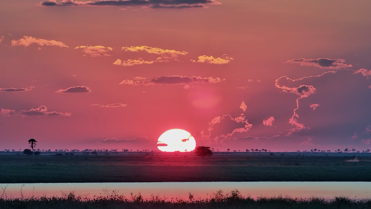 Sometimes Nature Doesn’t Need Wildlife to Steal the Show