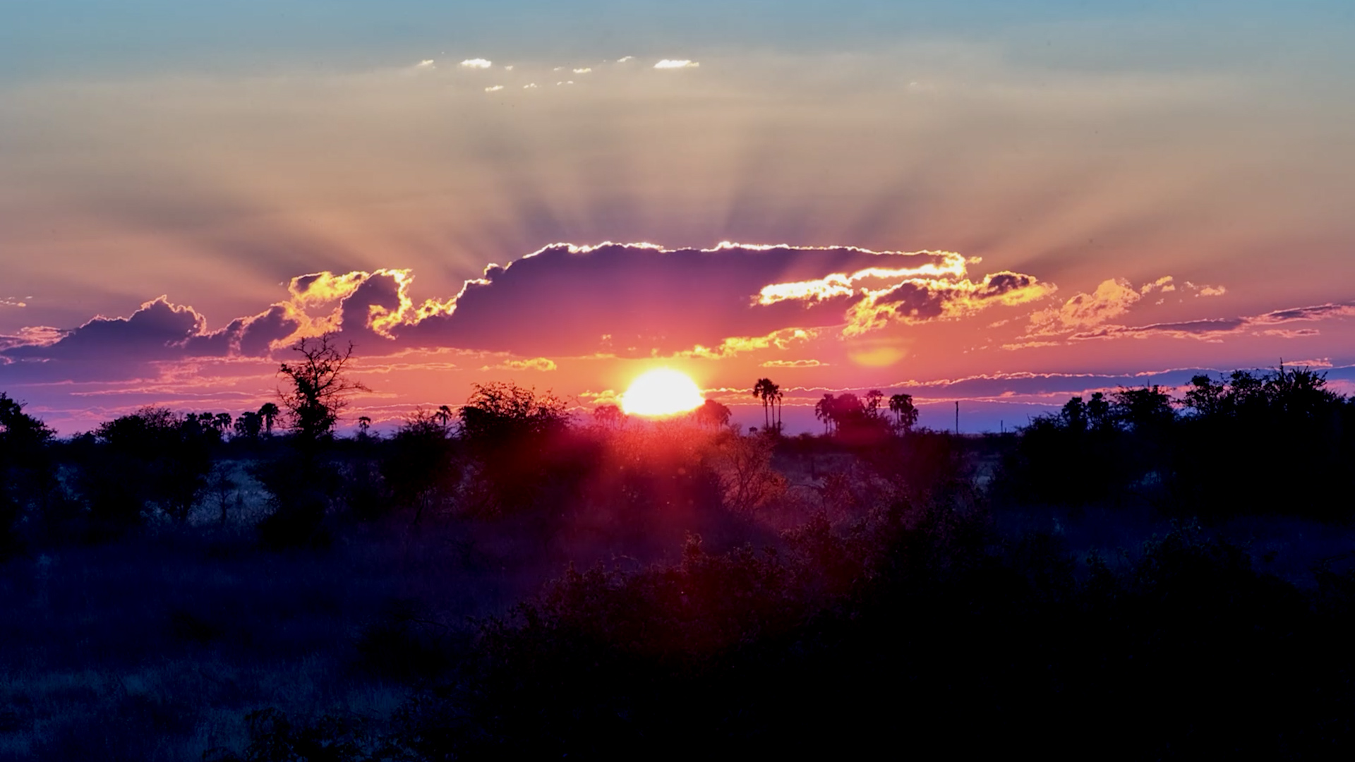 A Stunning Sunset Across the Kalahari
