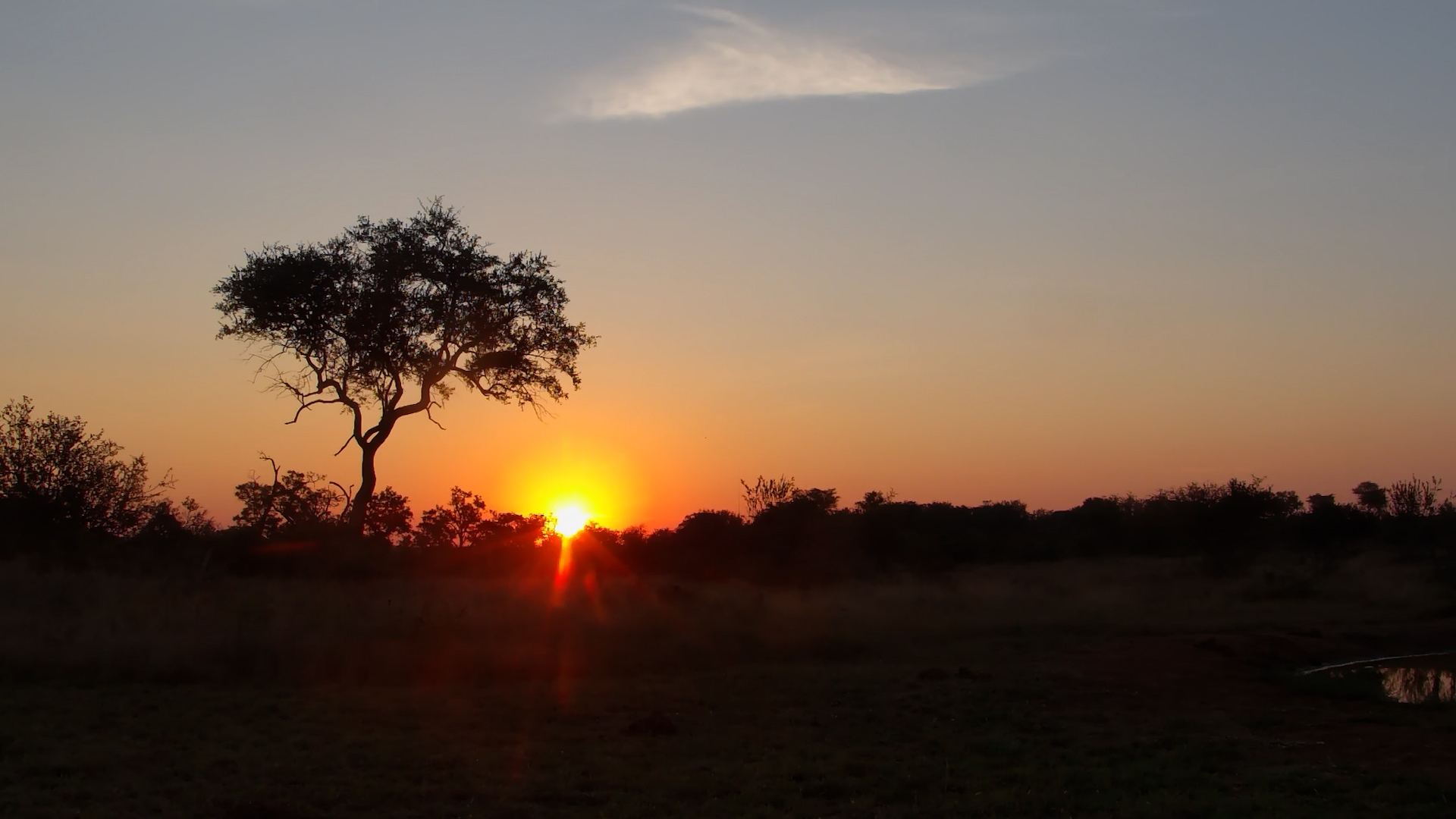 A Perfect End to the Day at Cat Eye Pan