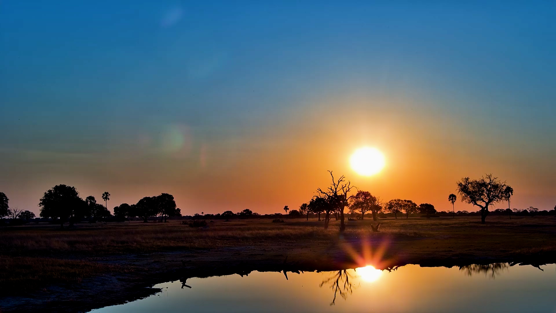 A Sunset Worth Stopping Everything For