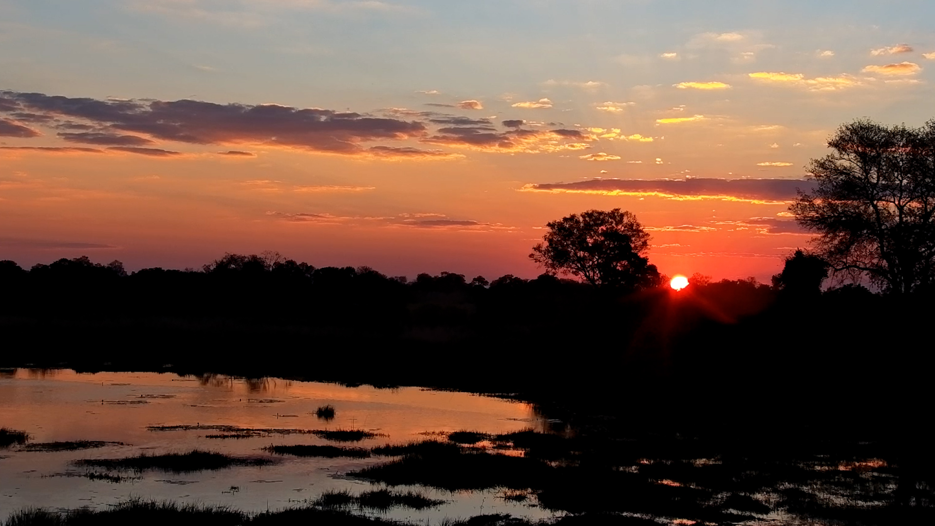 The African Sky Puts on One Last Show