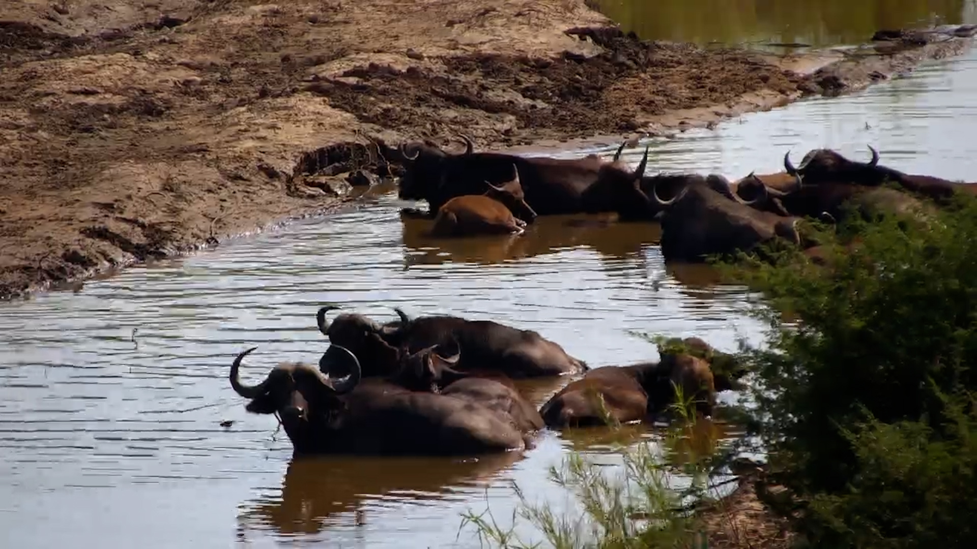 The River Belongs to Them