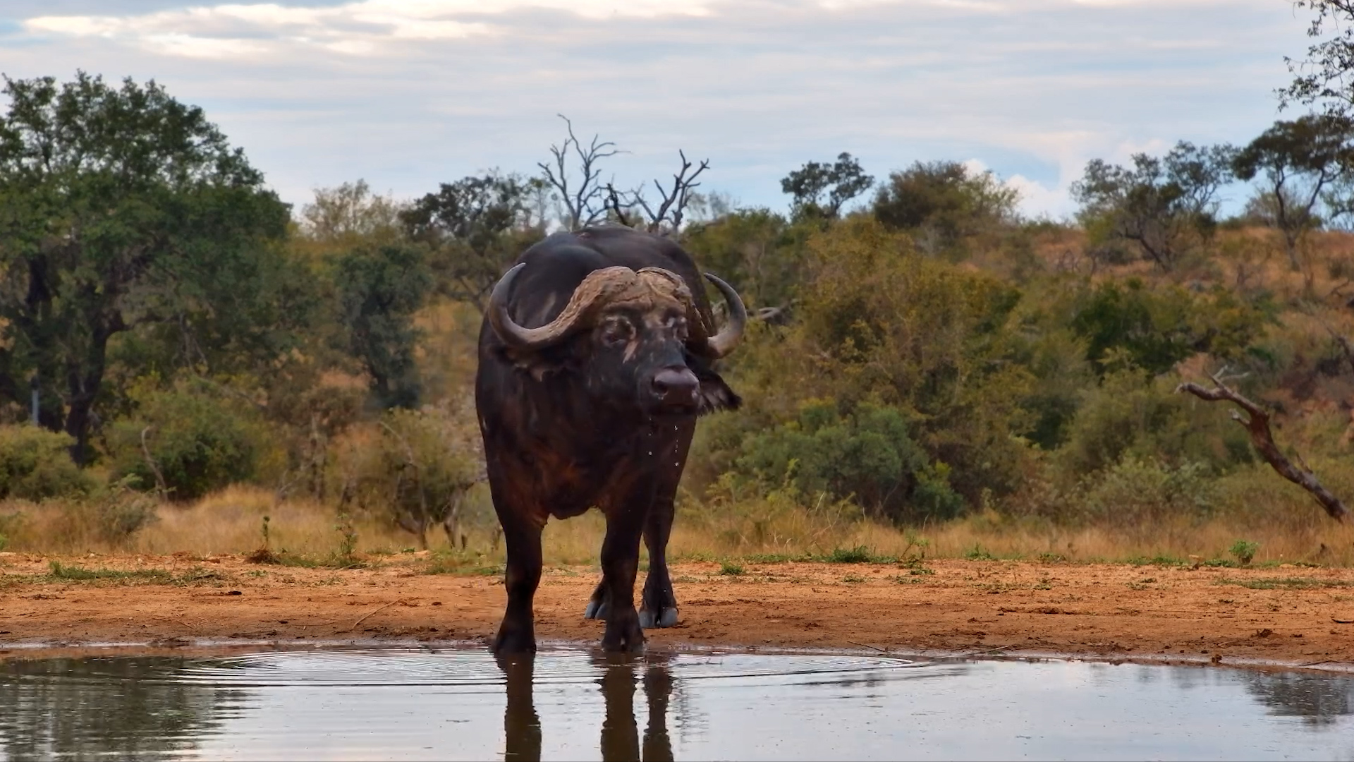 Old Boys Stop for a Drink at Kings Camp
