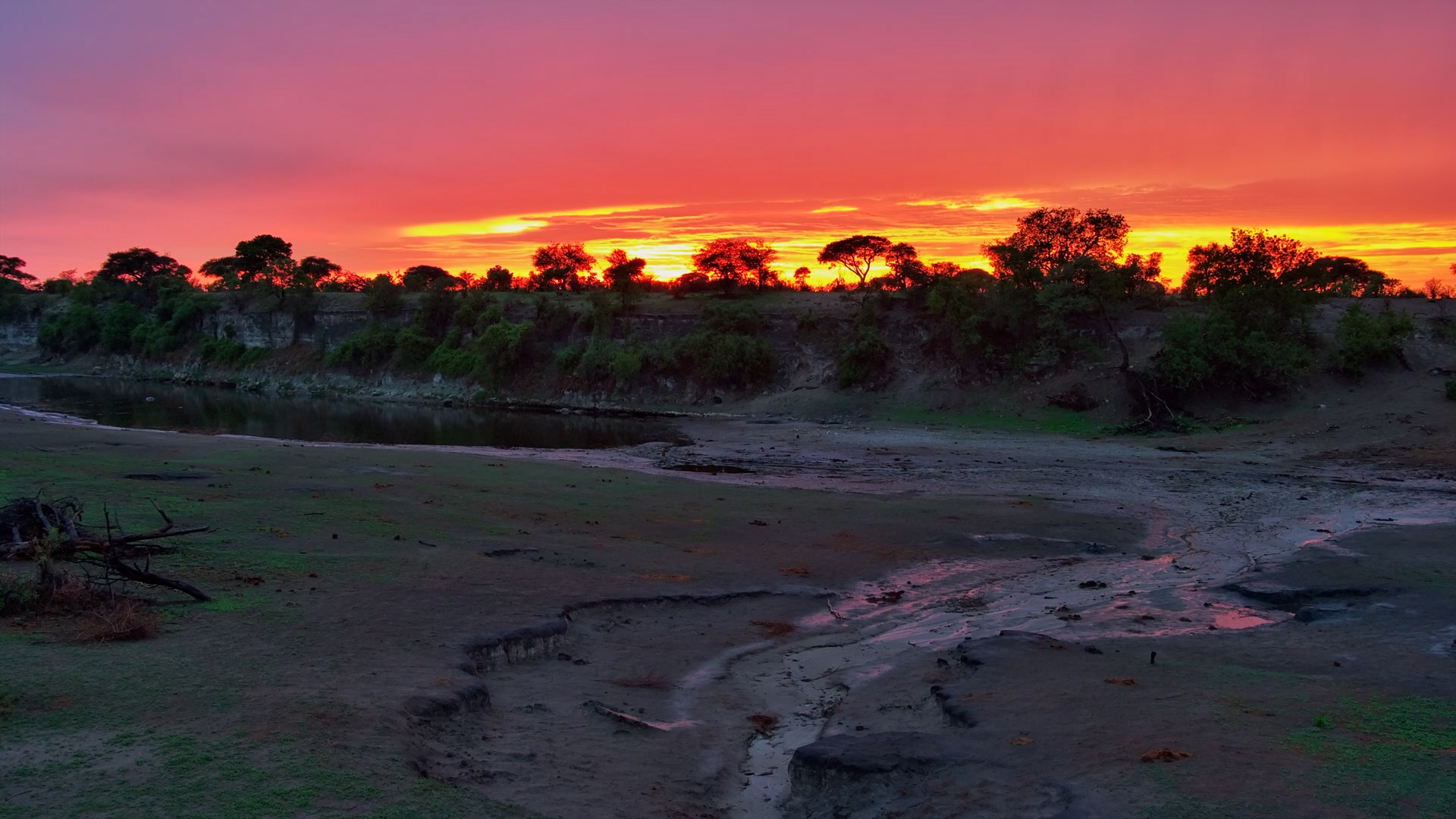 Stunning African Sunrise at Camelthorn