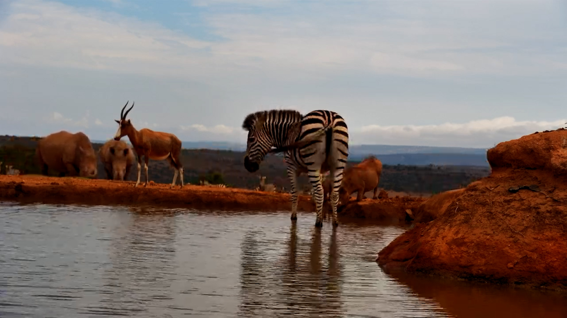 The Waterhole is PACKED!