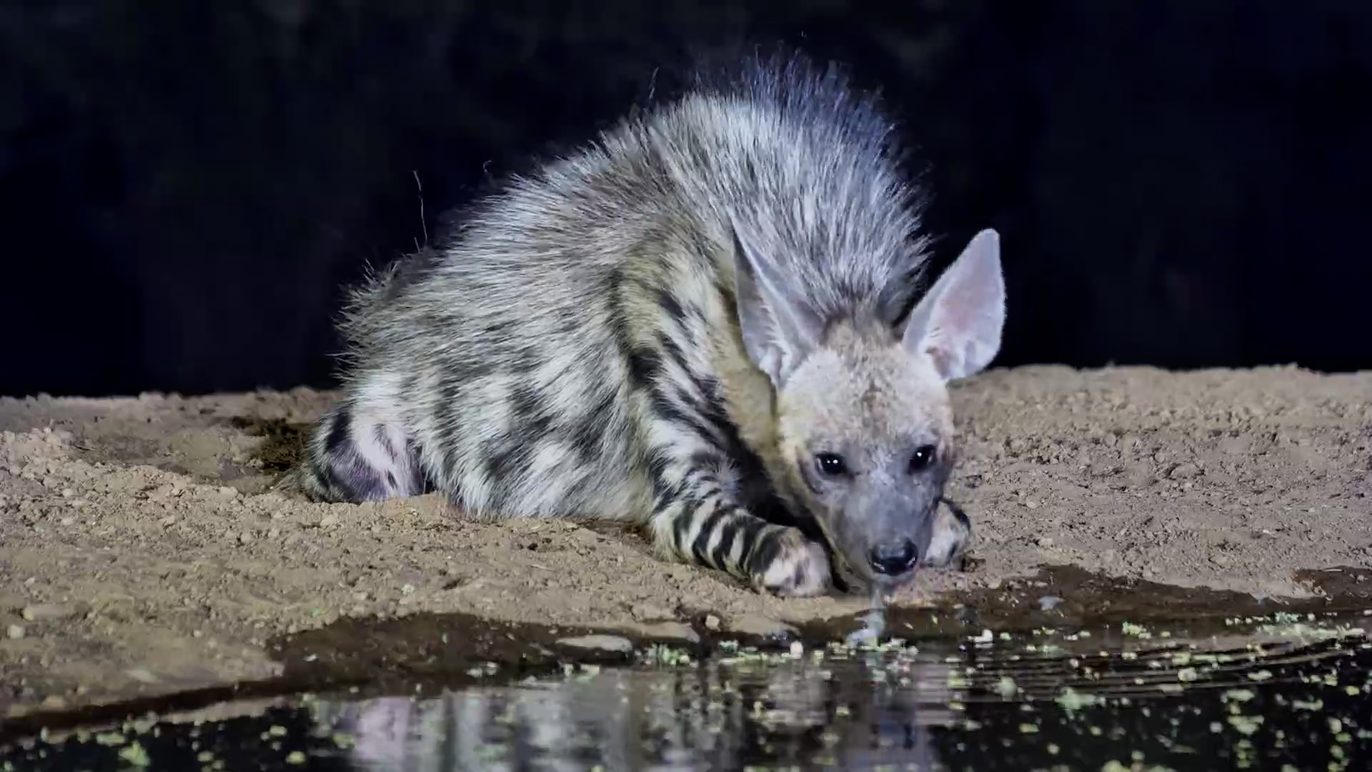 Nervous… But Thirsty!