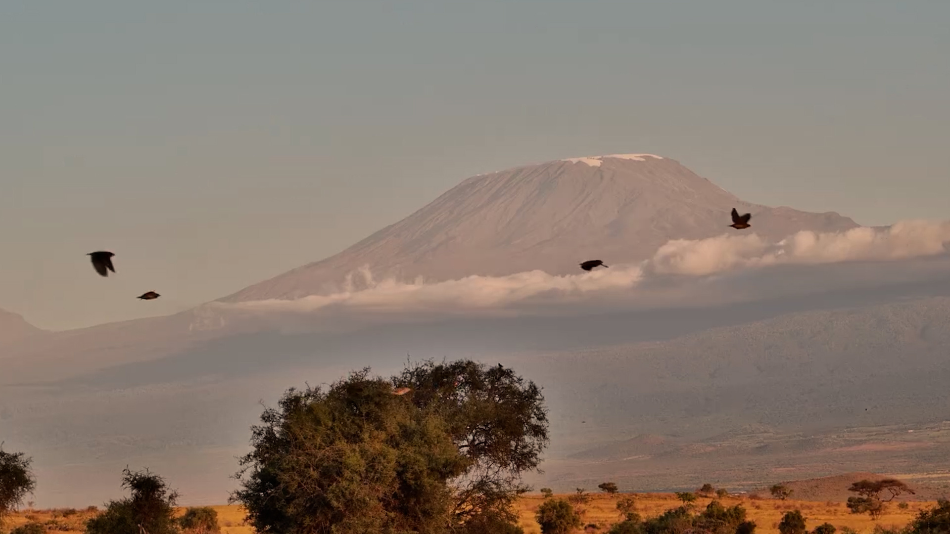 Clouds Drift Beneath Mount Kilimanjaro