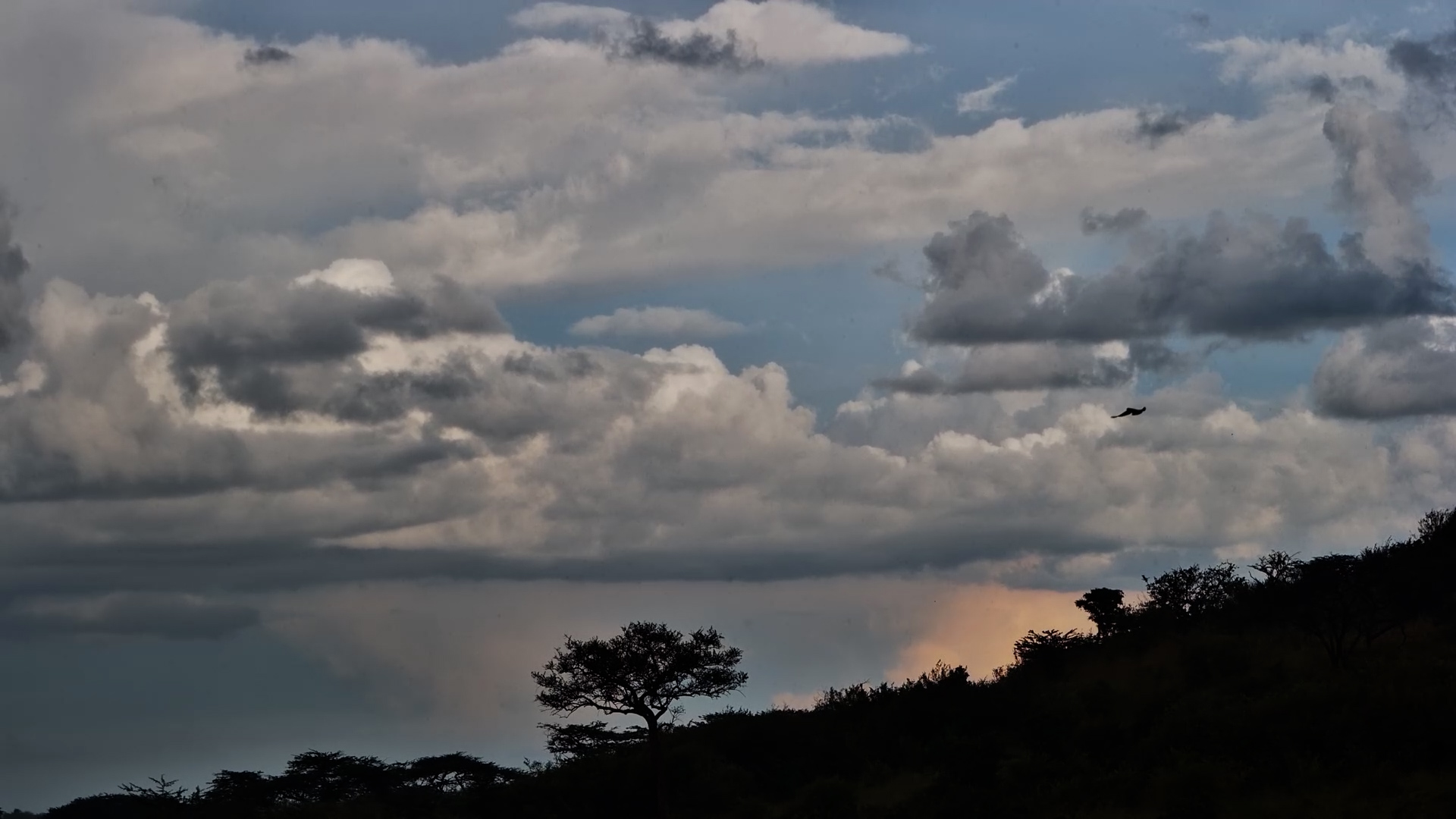 Nature Sets the Mood