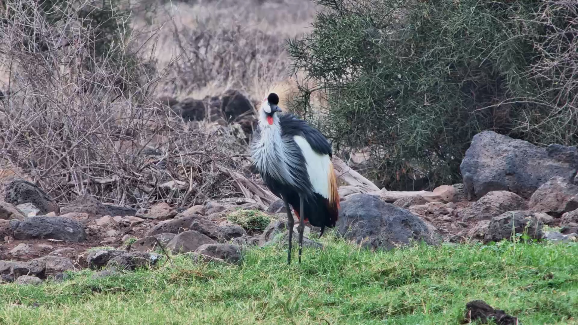 Grace at the Water’s Edge