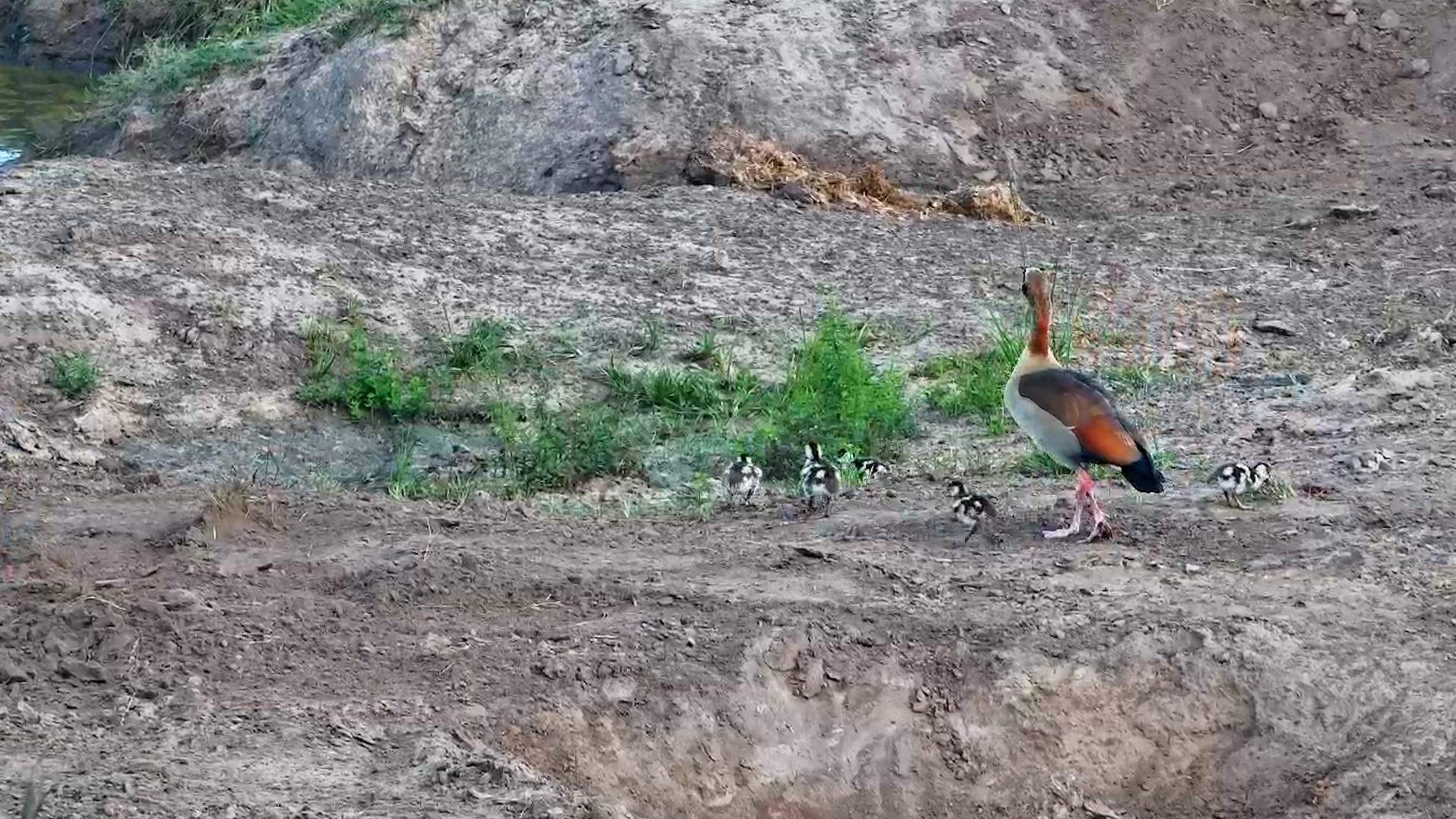 The Newest Little Explorers at Tembe