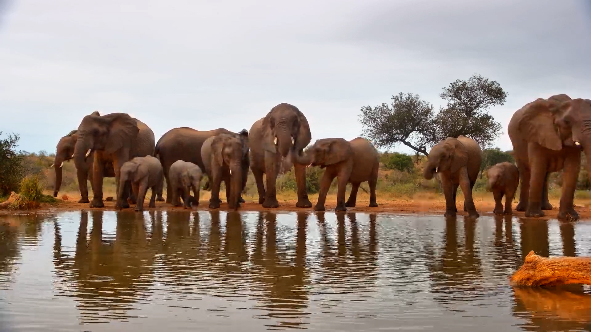 Everyone Needed a Drink Today