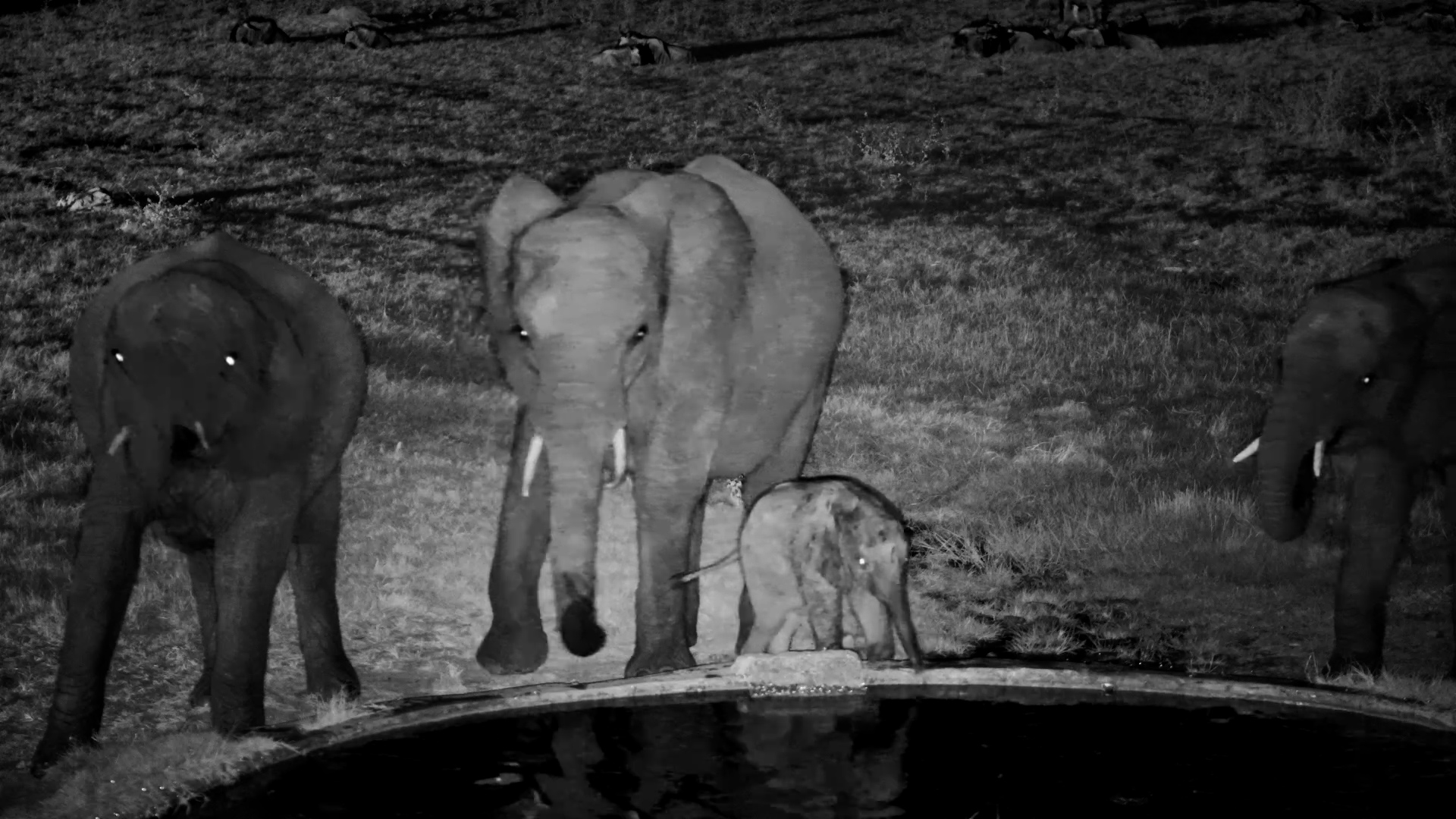 Independent for a Second… Then Mum Steps In