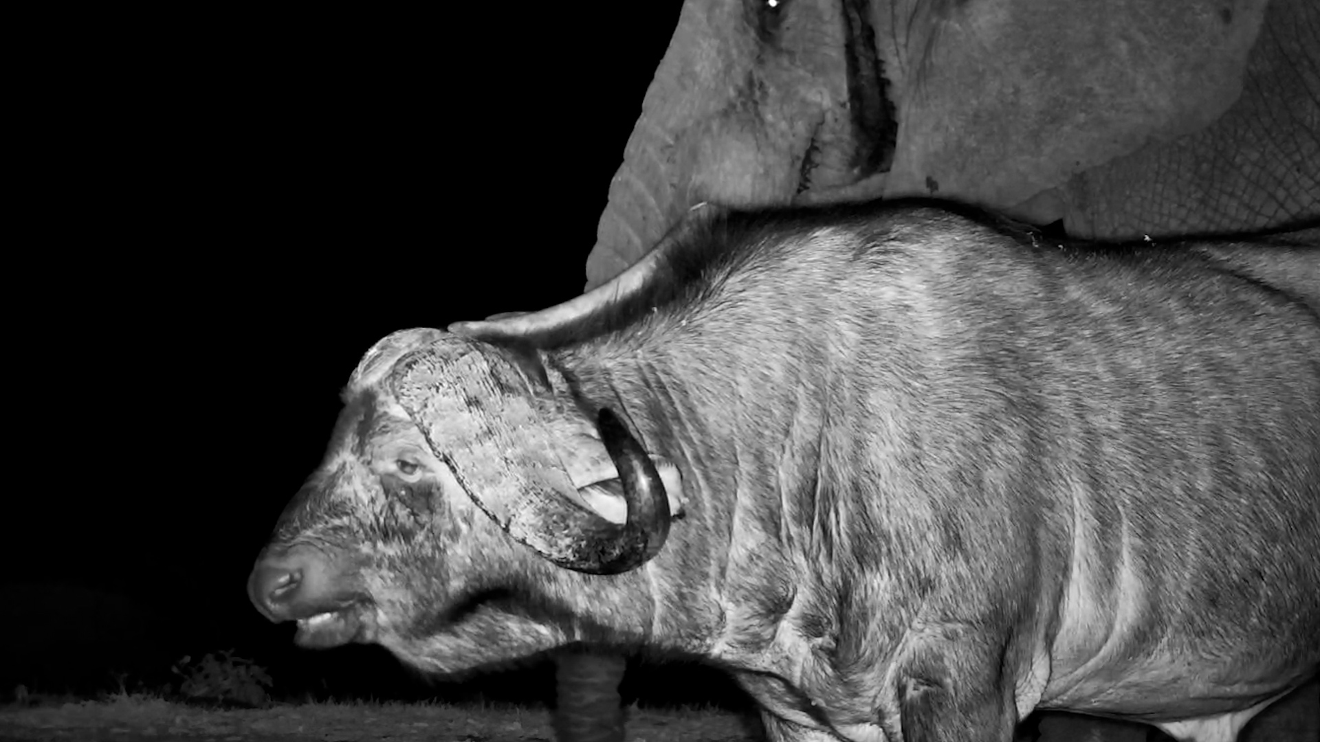 When You Pick a Fight and They Just… Don’t Care