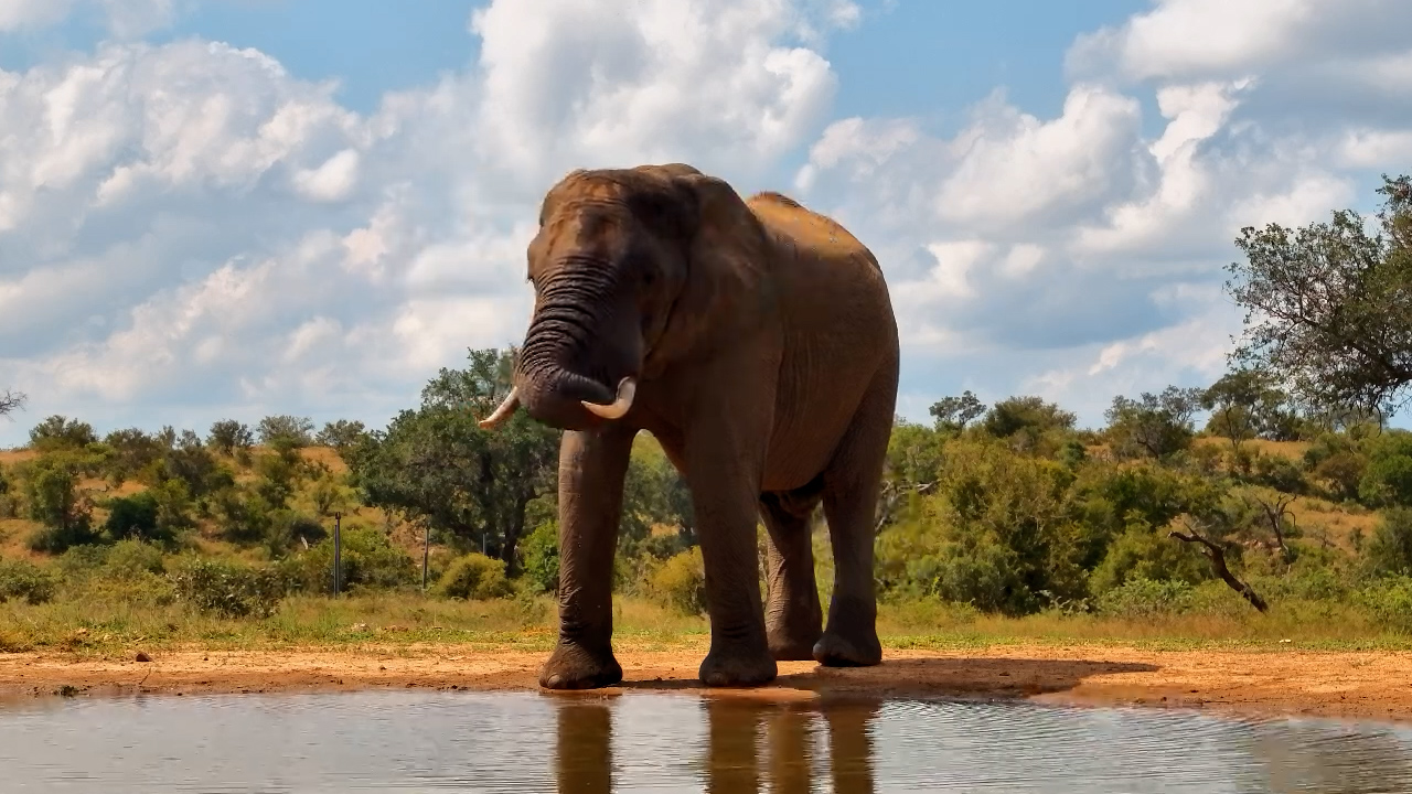 A Drink and a Splash at Kings Camp
