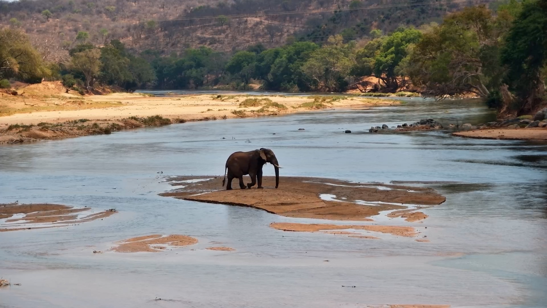 Elephant Adventure: Crossing the River to a Friend
