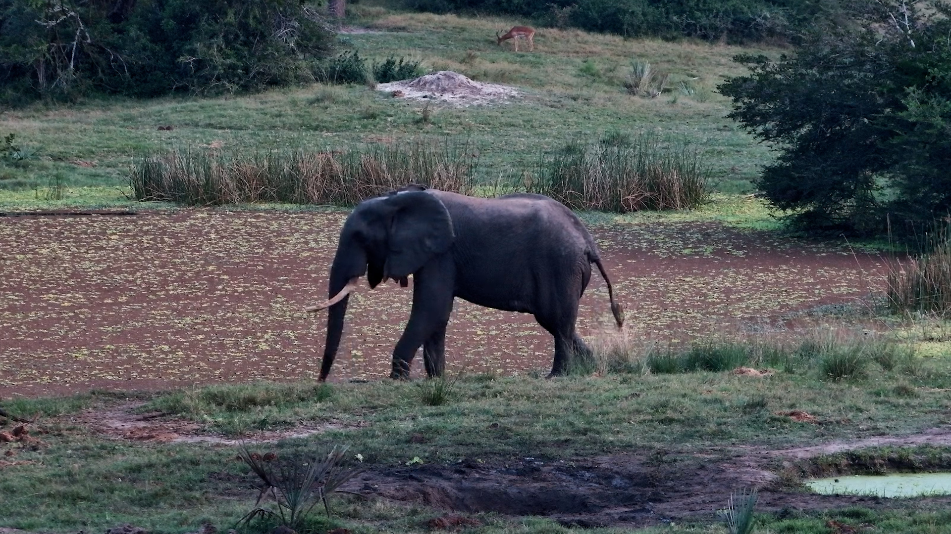 A Moment of Peace at Dusk