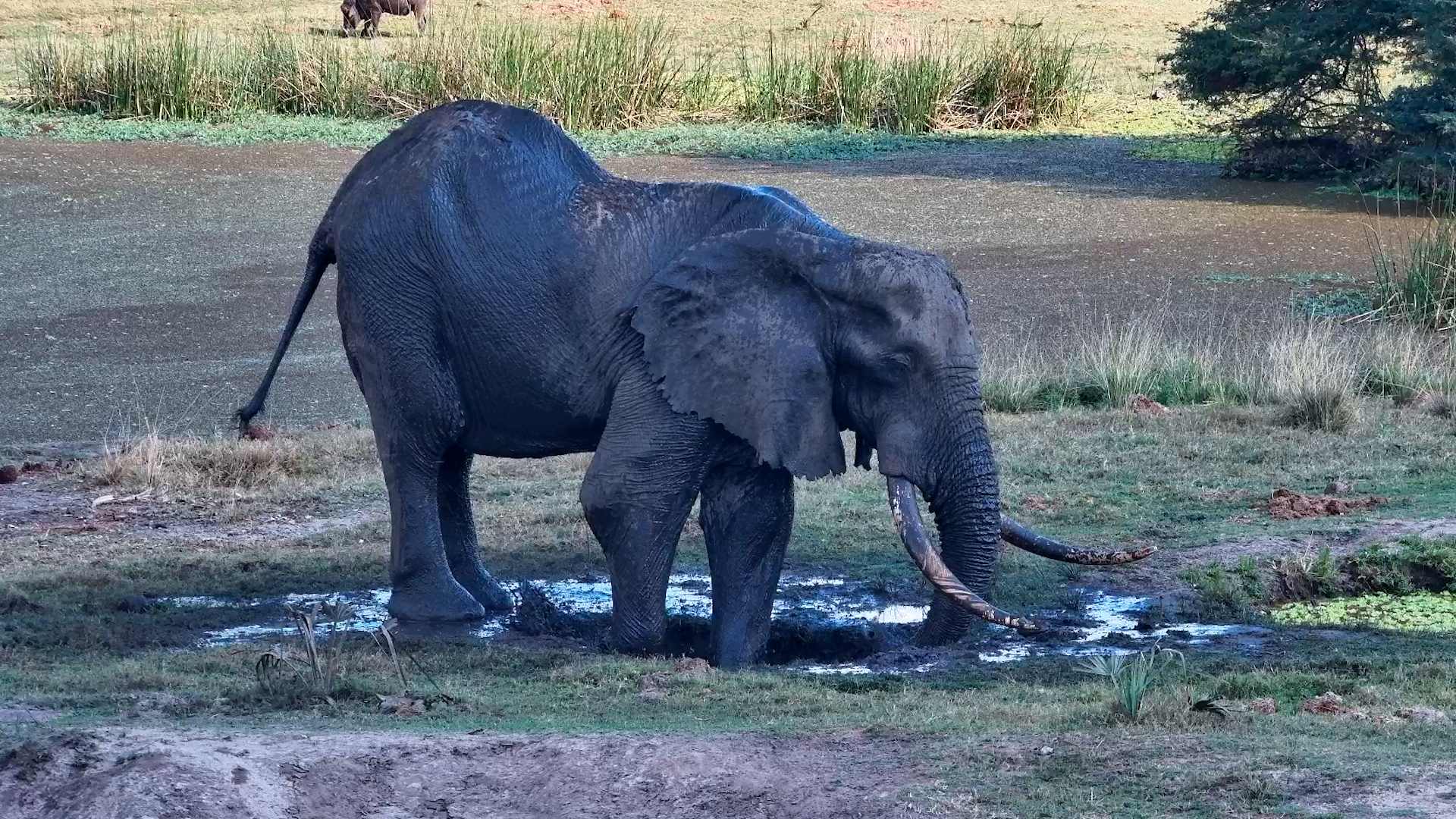 The Ultimate Mud Spa