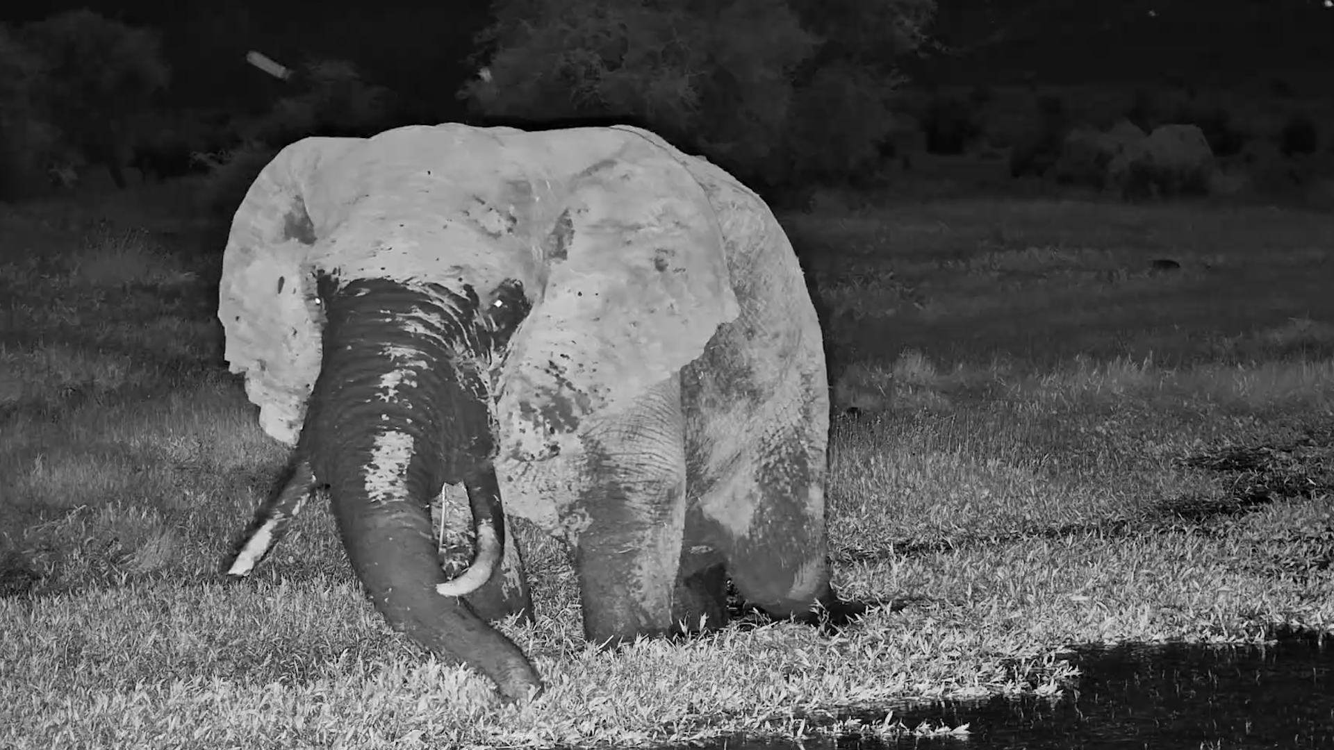 Messy, Massive, and Unbothered