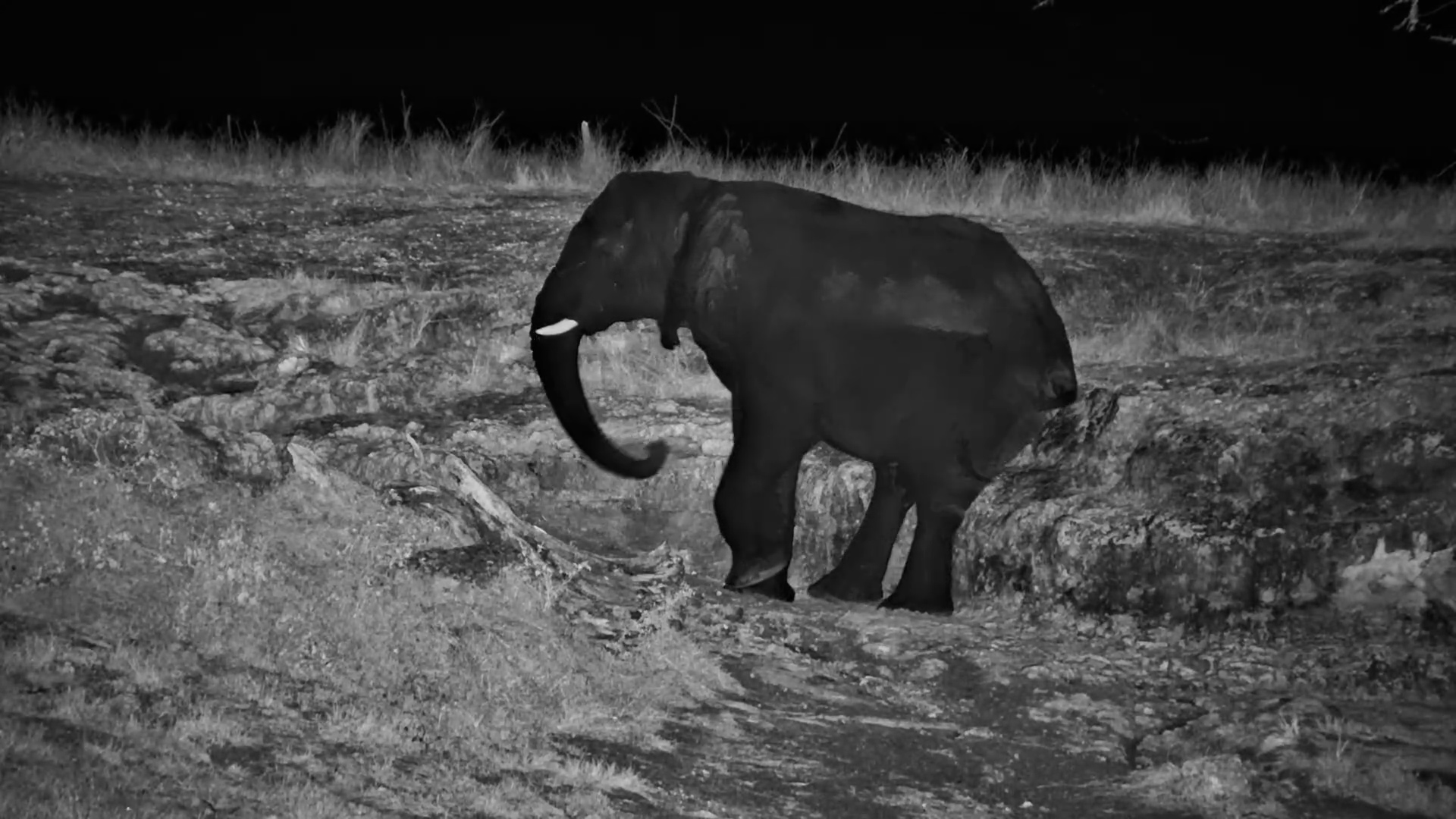 When the Scratch Hits Just Right