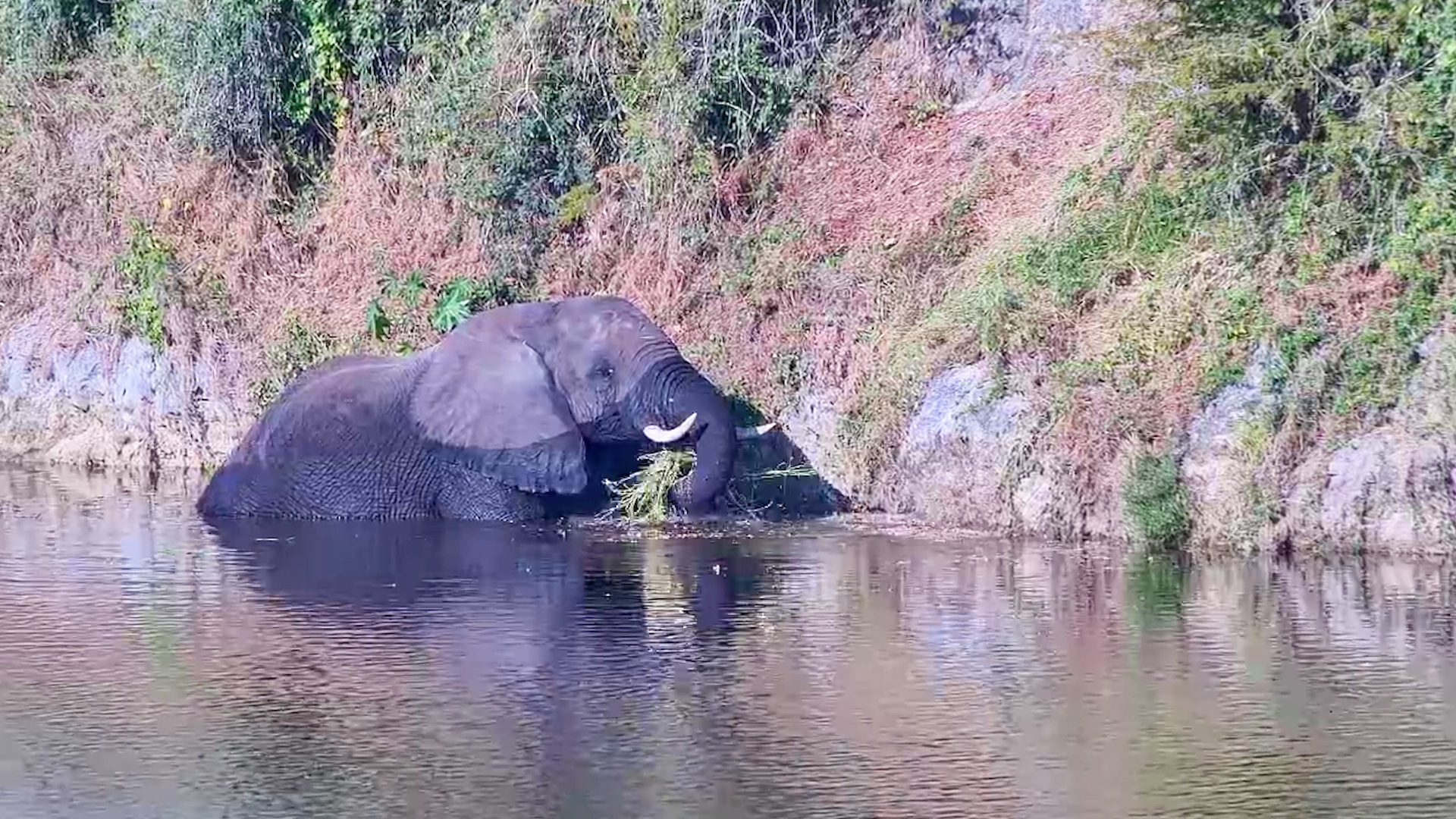 Standing in the Water, Snacking From the Shore