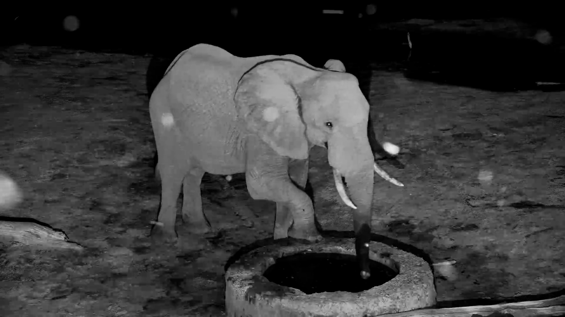 Nightcap & a Foot Rest!