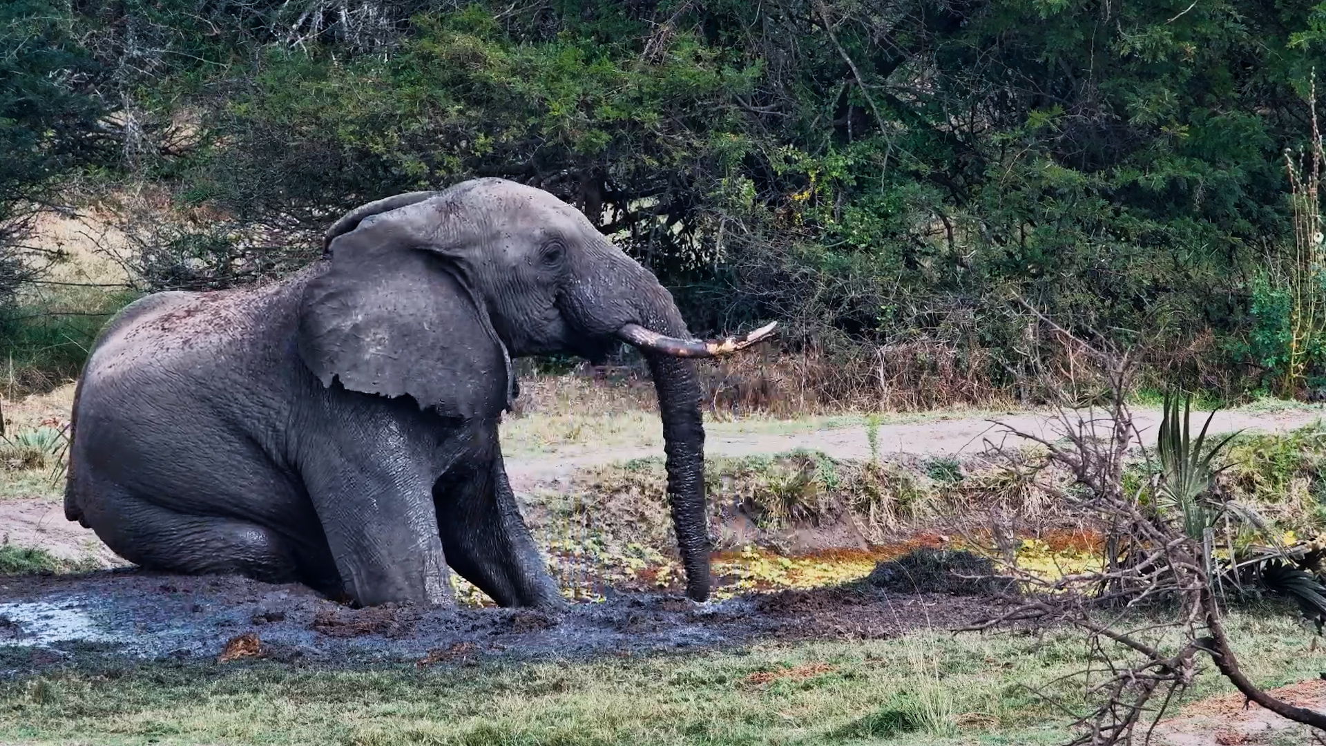 Mud Bath Level: Expert