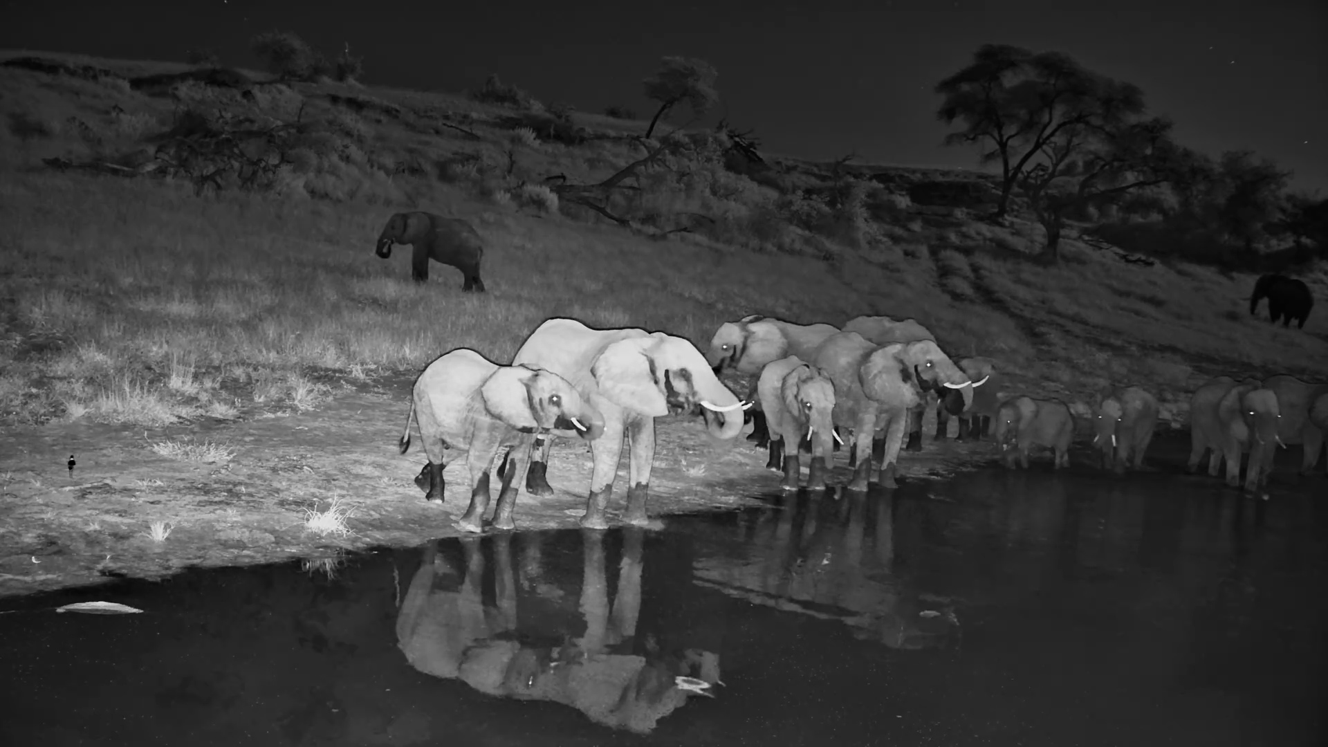 Midnight Drink with Giants