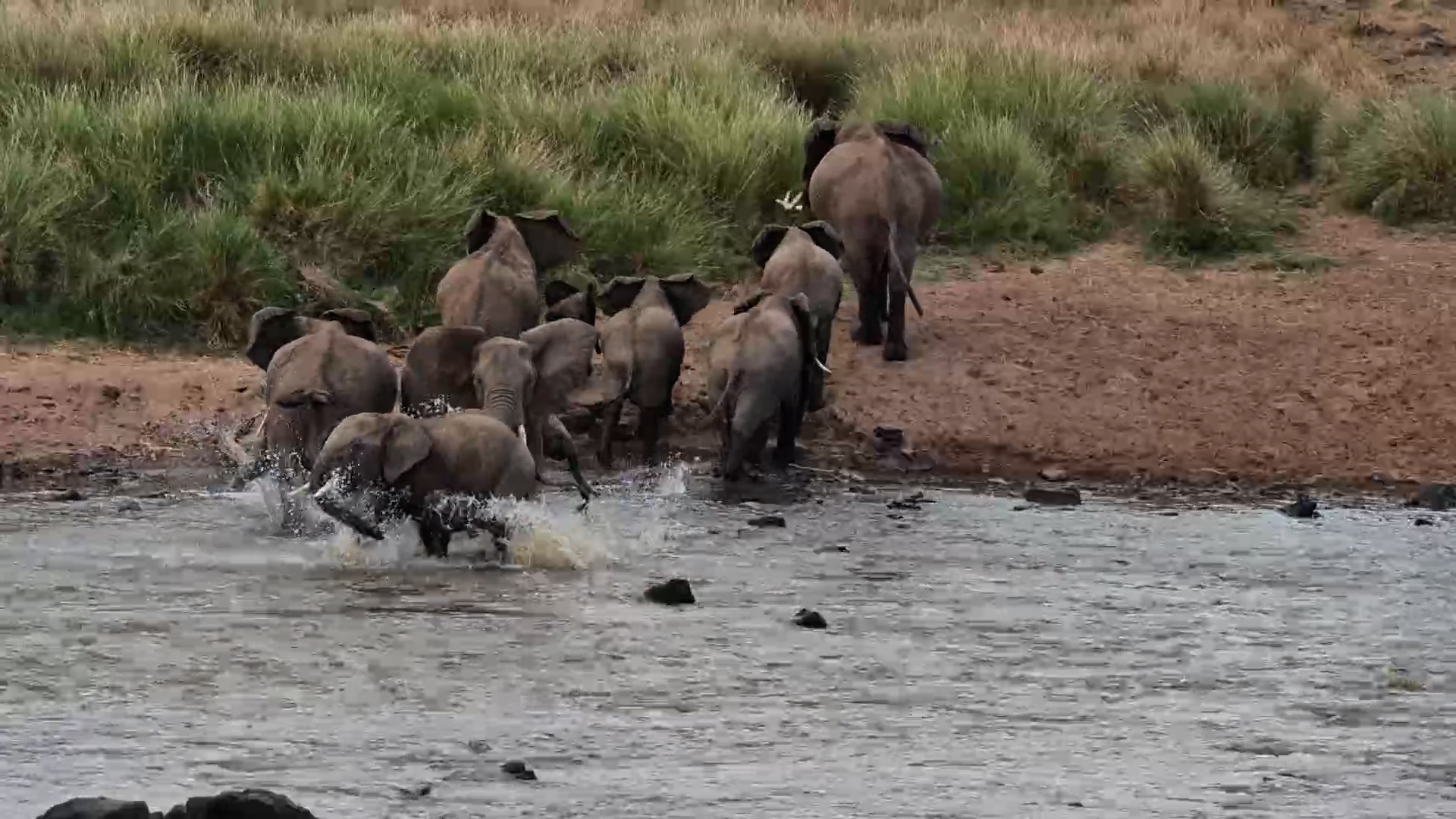 A Different Kind of River Crossing