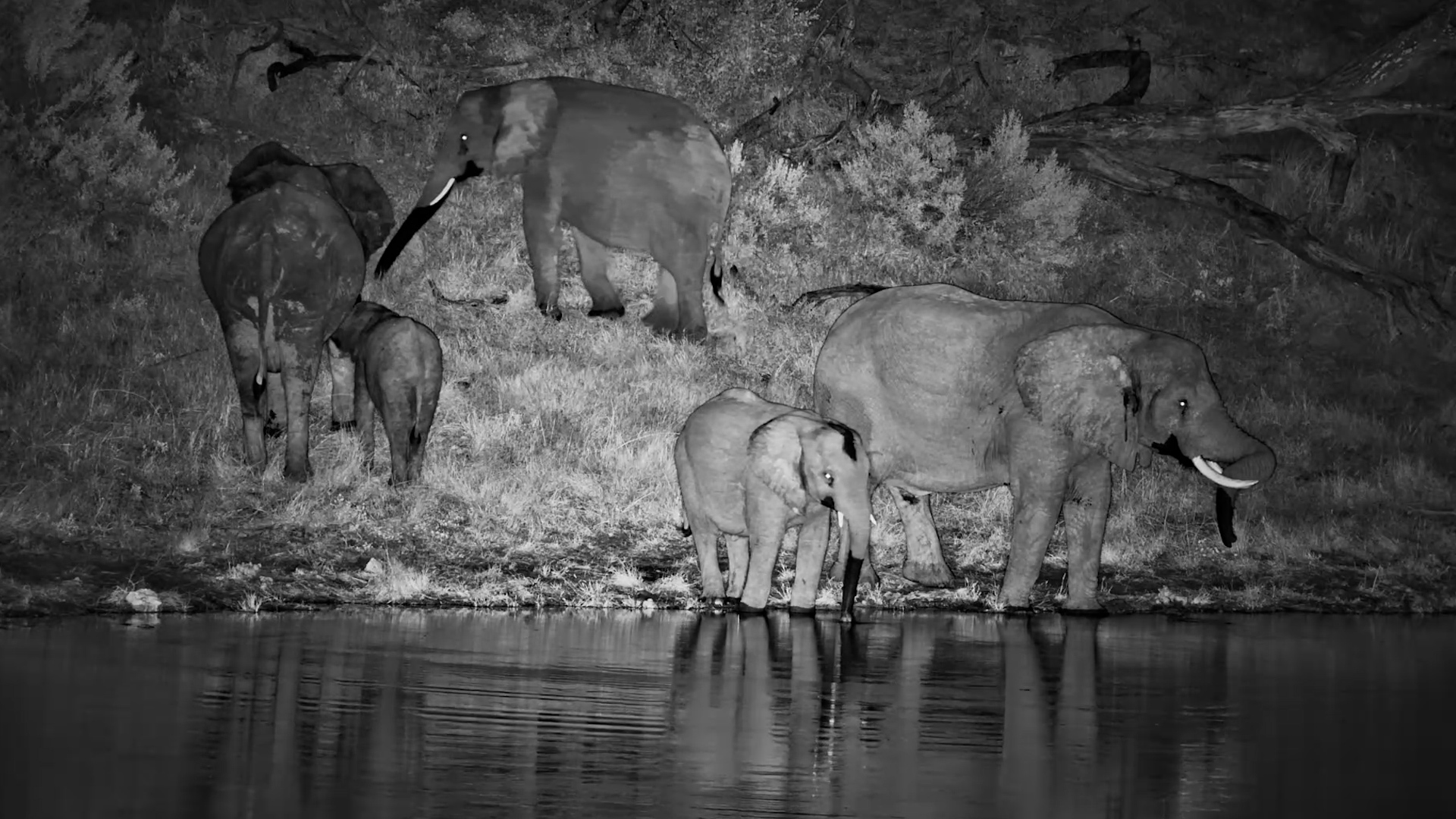 River Visit After Hours