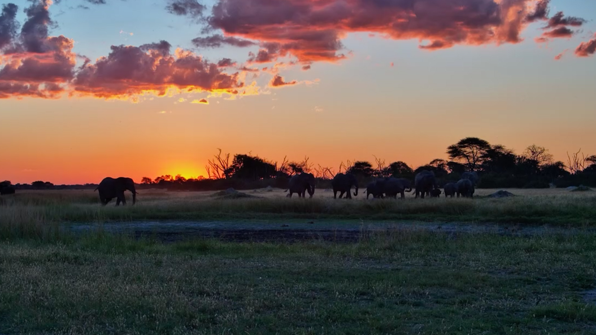 Sundowner at The Hide… Elephant Style
