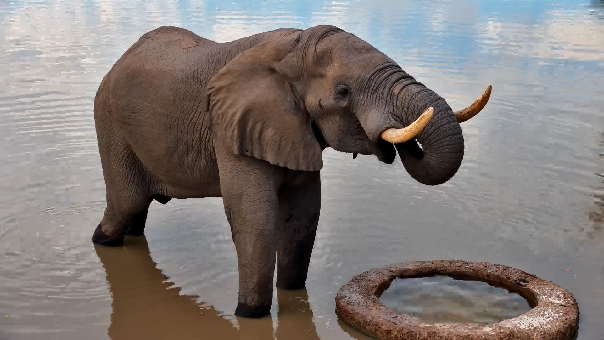 Daytime Calm at the Well