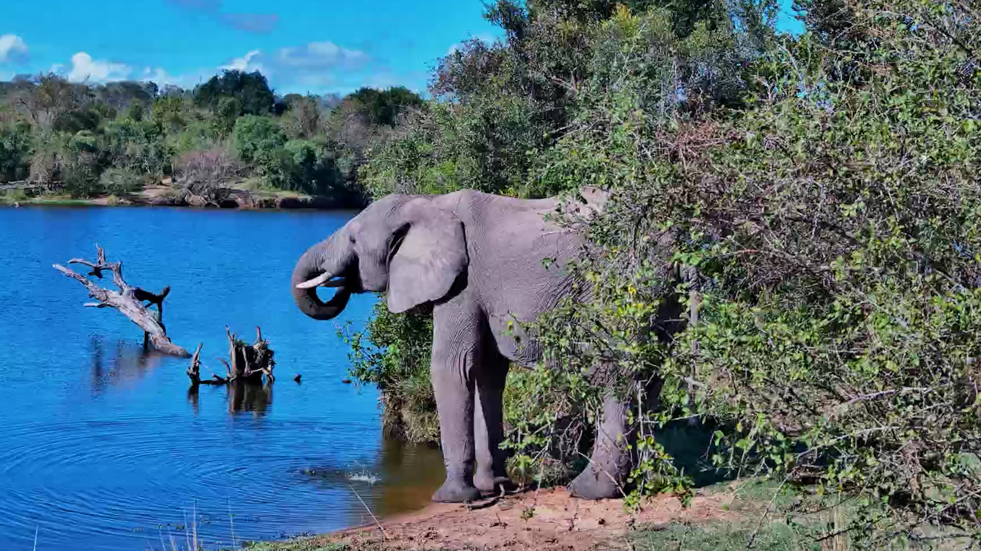 One Very Peaceful Afternoon at the Waterhole