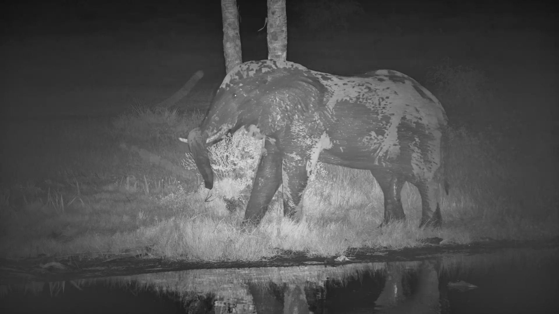 That Satisfying Scratch