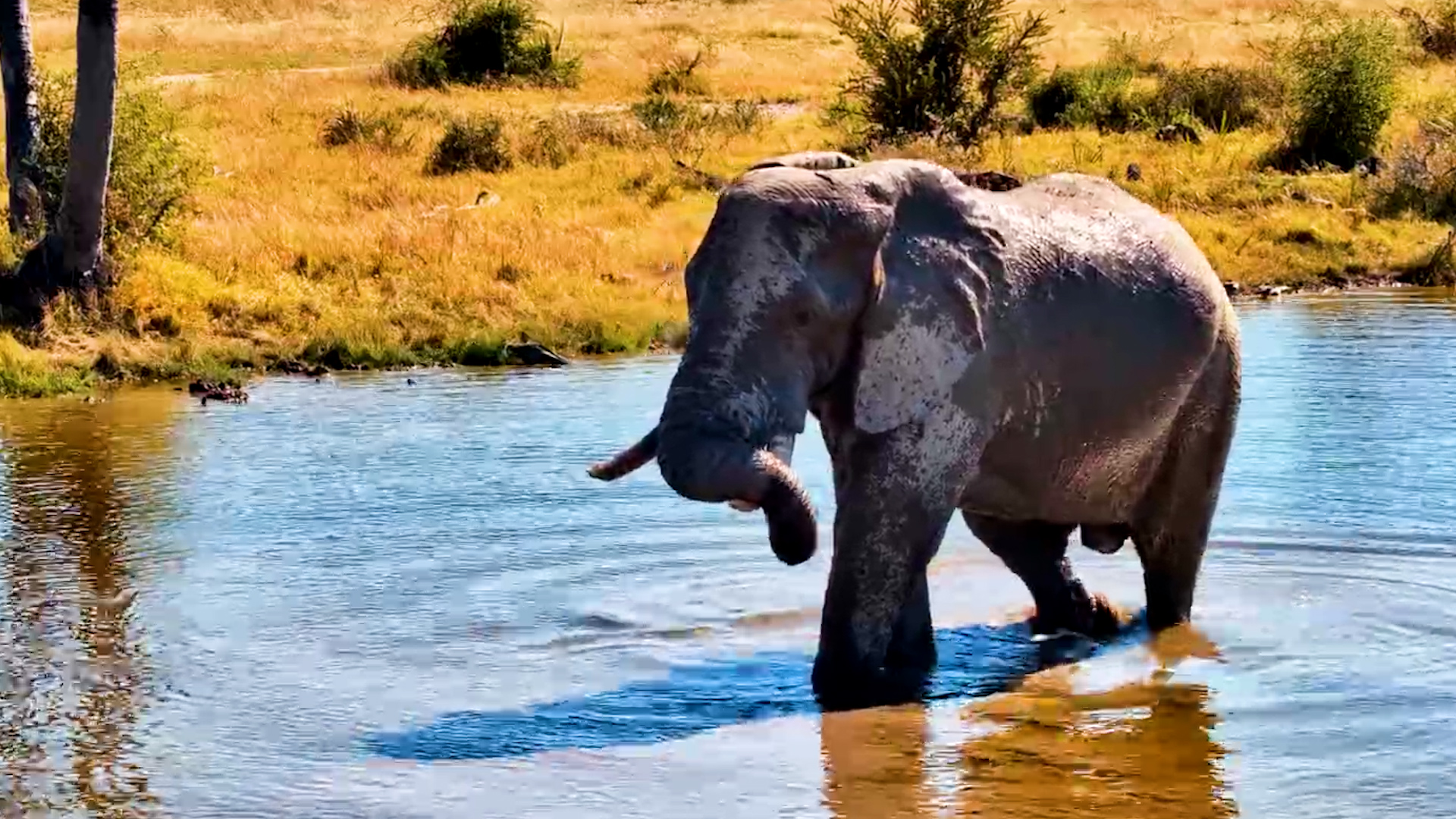 The Kalahari's Coolest Spot