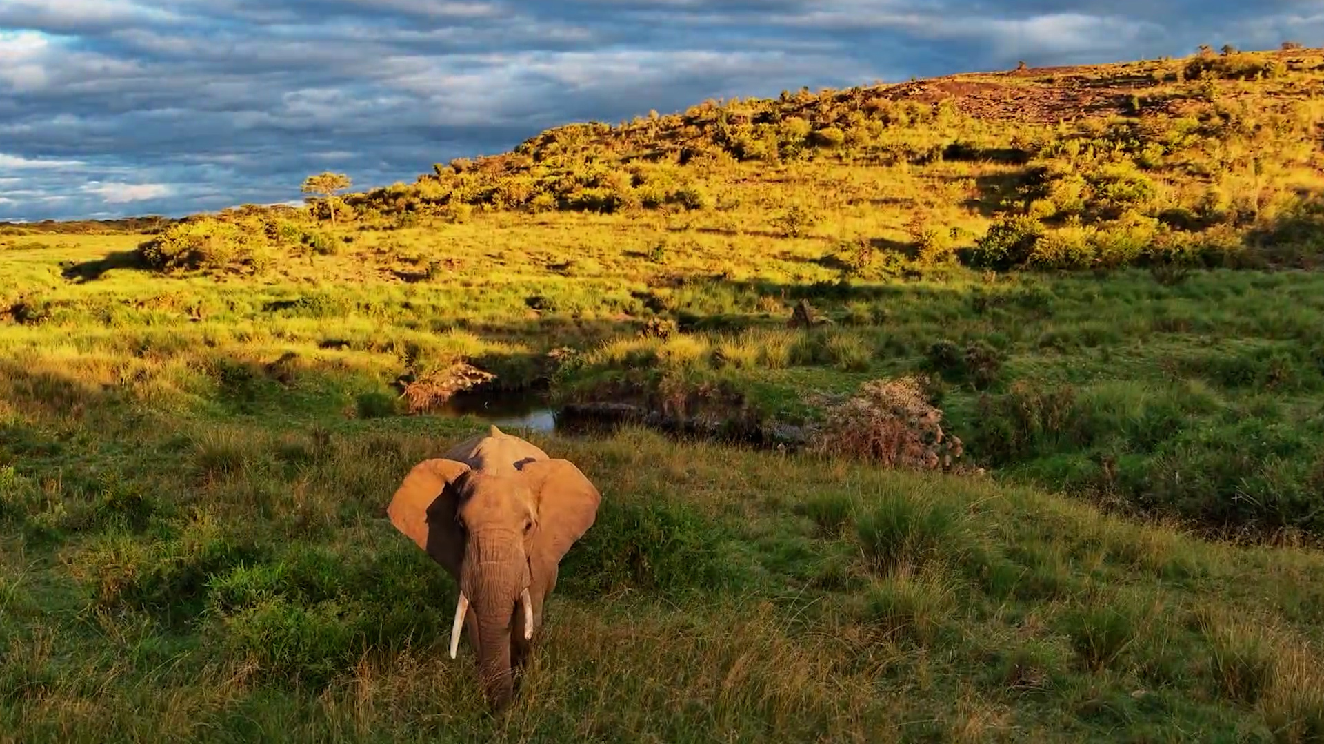 A Peaceful Journey Through Mahali Mzuri