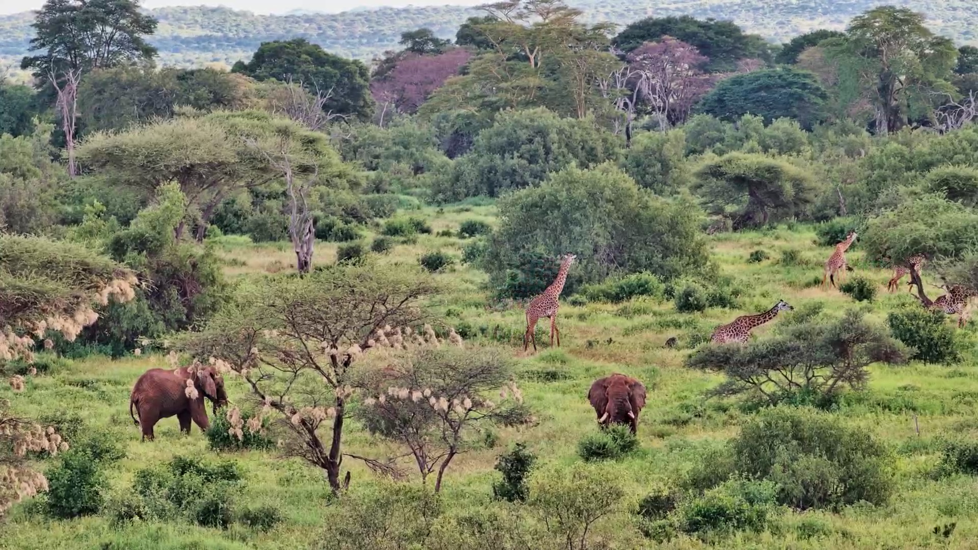 Dynamic Duo at Finch Hattons