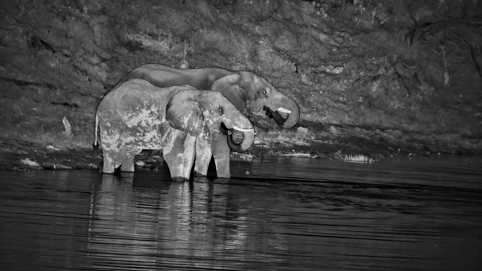 In the Dark at Meno a Kwena