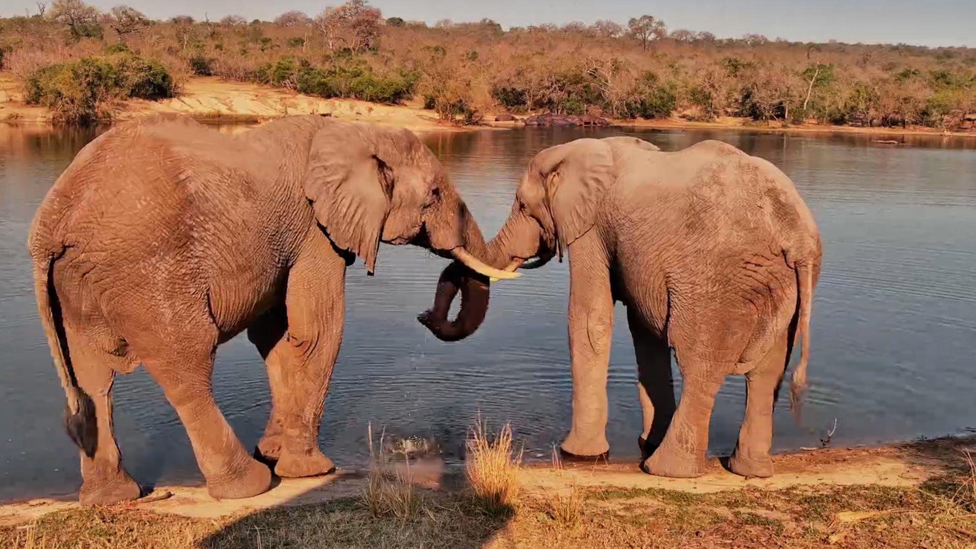 Afternoon Drinks With Your Bestie