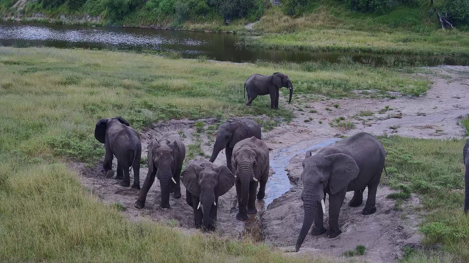 When the Giants Arrive