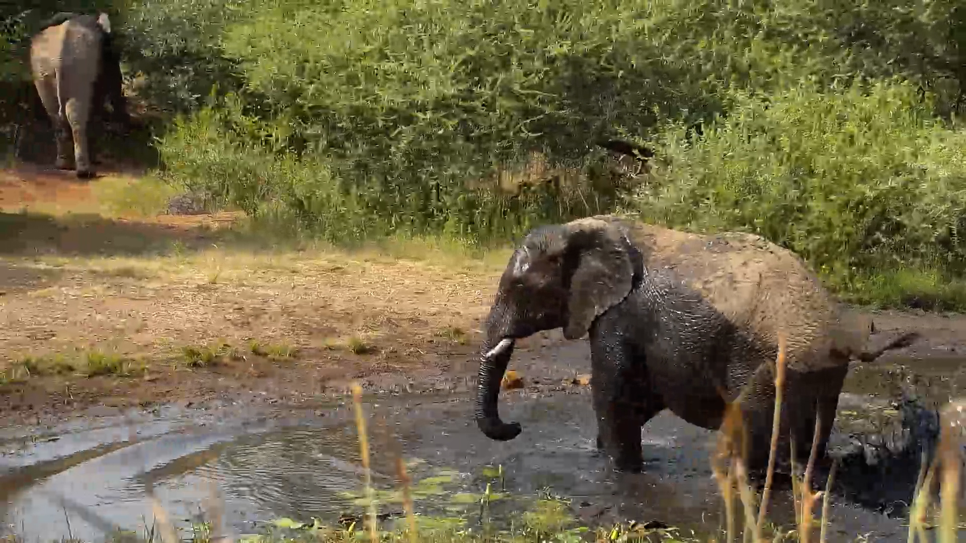 Cooling Off, Giant Style!