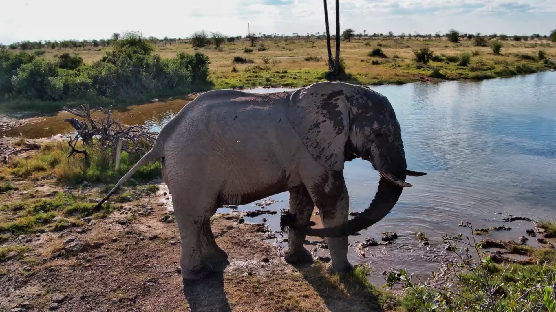 Cooling Off in the Middle of the Kalahari Heat