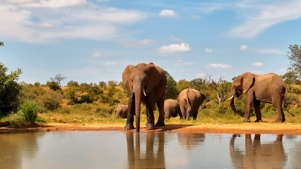 Together at the Water’s Edge