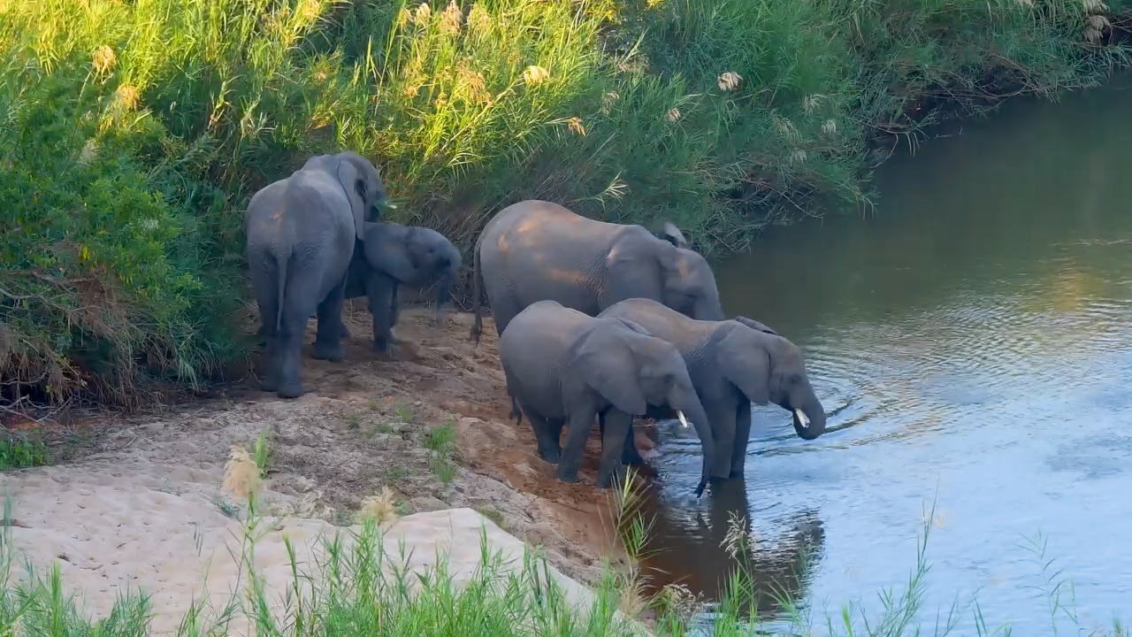 A Perfect Day on the Sabie River