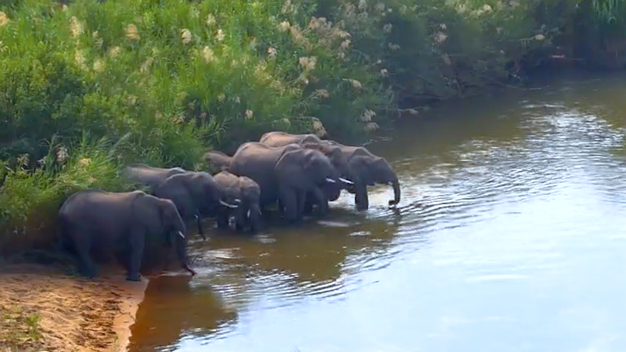 Family Time Along the Sabie River
