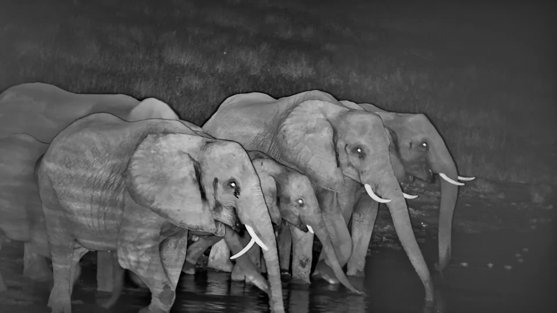 Drinking Together in the Dark