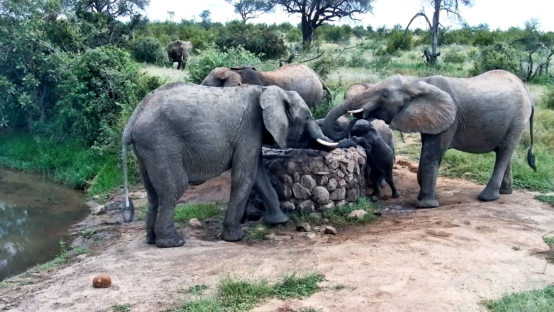 A Family at the Well… But Not Everyone Can Reach Just Yet