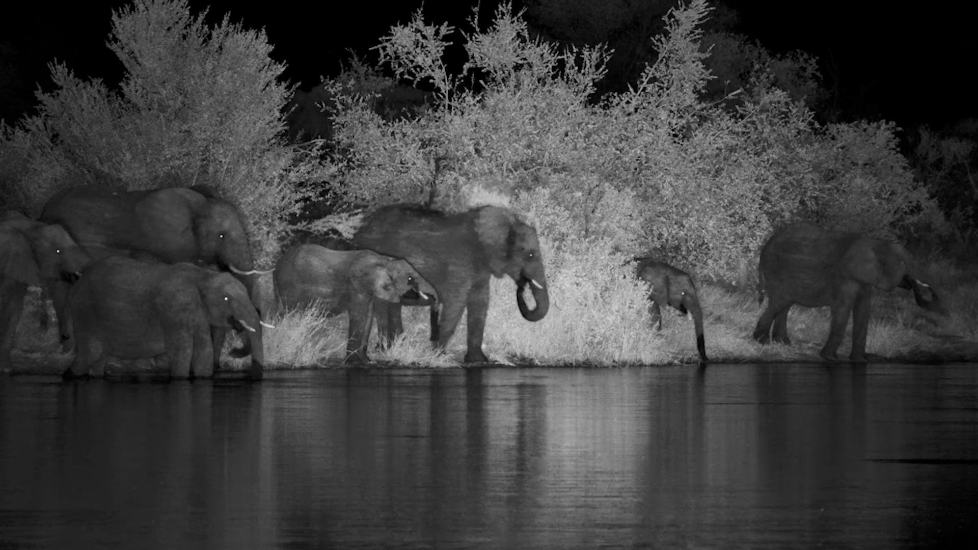 A Quiet Drink in the Deep Dark