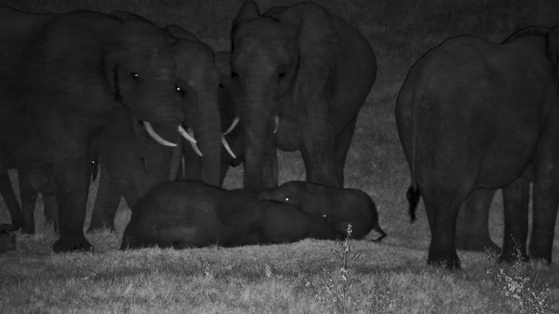 When You’re Trying to Rest… But the Baby Has Other Plans