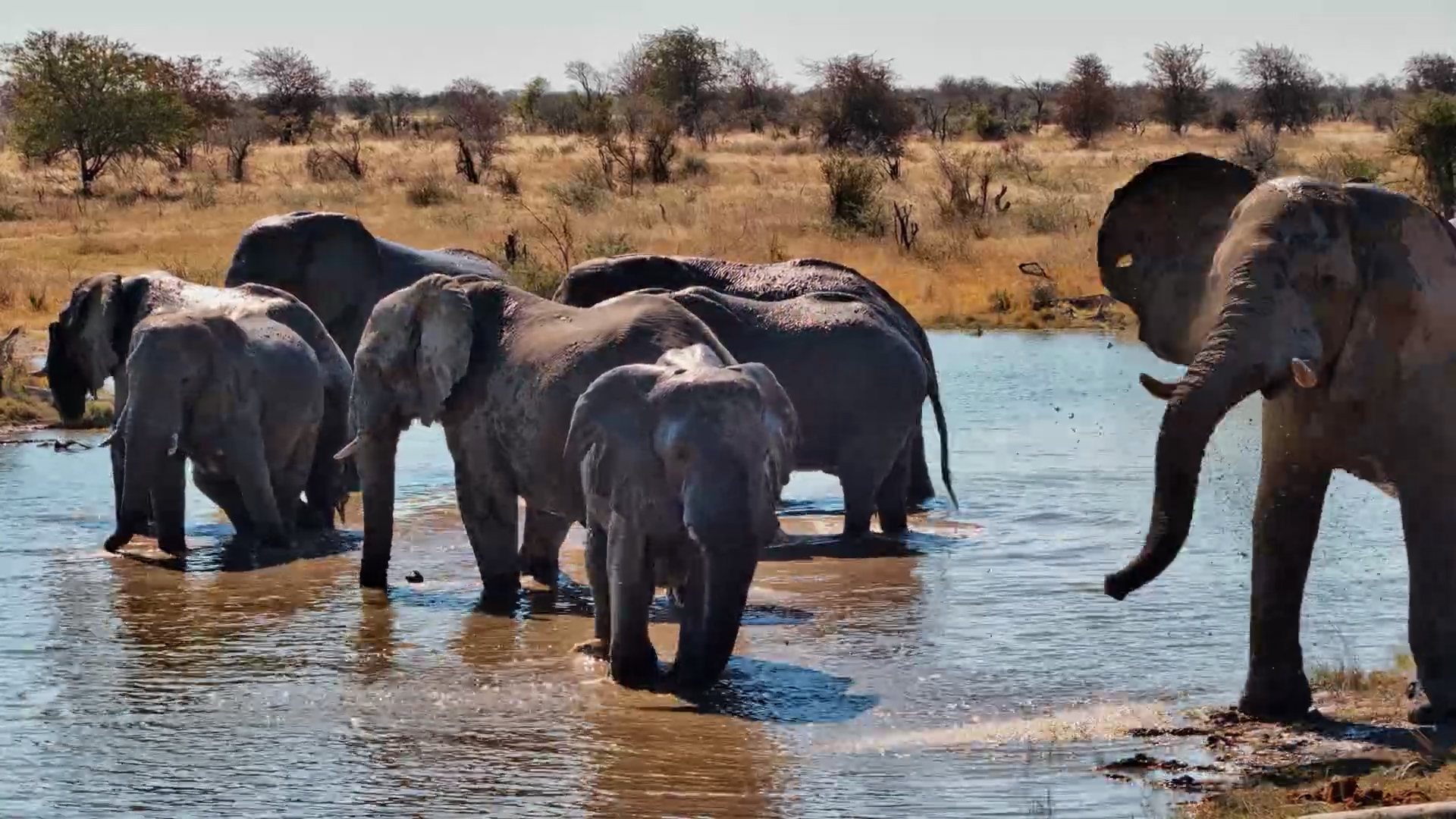 Too Hot? Time for a Cool Down!