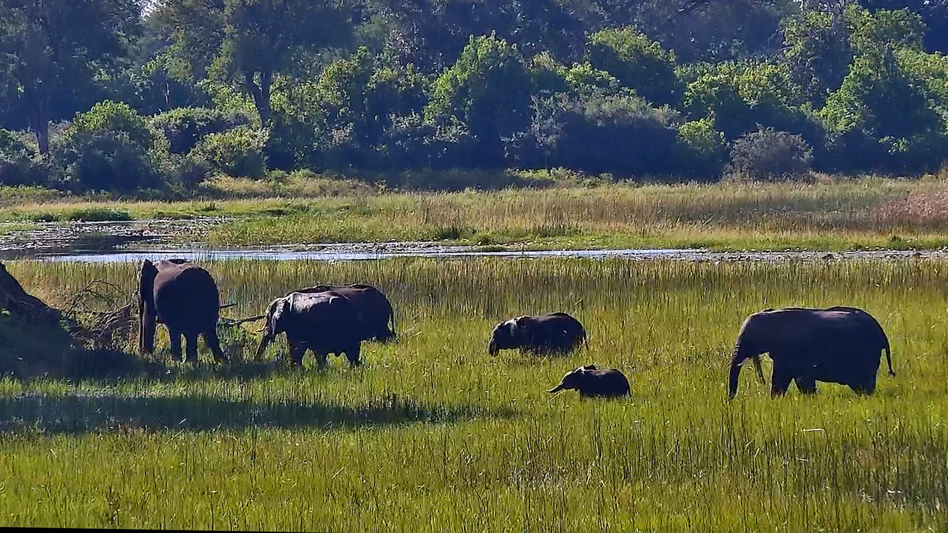 A Journey Through Water